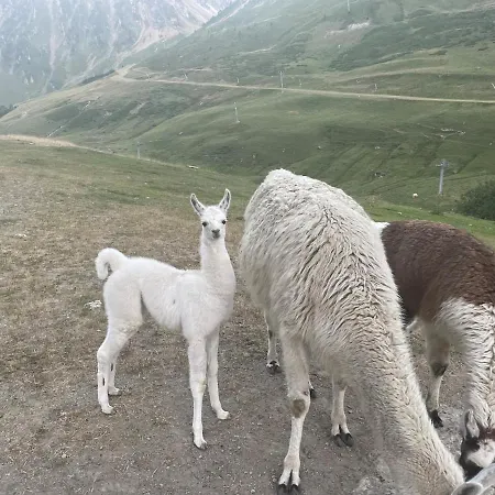 Apartmán 5 Personnes *